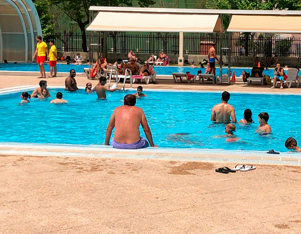 Las ocho piscinas de Elche abrirán con socorristas el 22 de junio