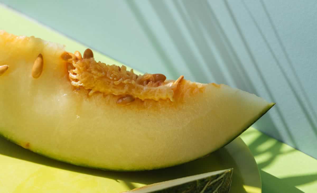 melón de Carrizales