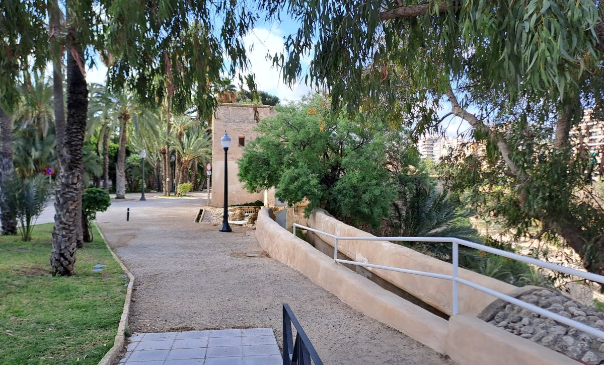 Riego con agua regenerada en los huertos de palmeras de Elche