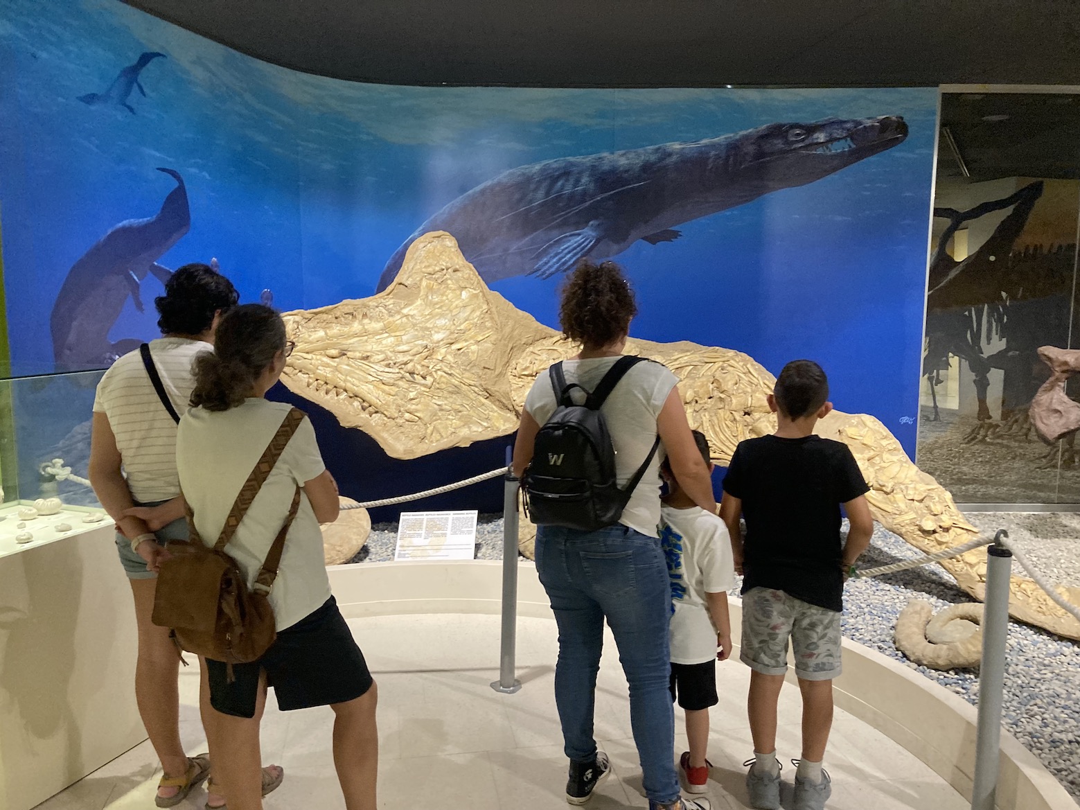 Museo Paleontológico de Elche 20 aniversario